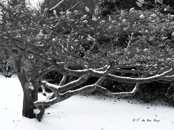 Bois des Moutiers Winterreise (27)